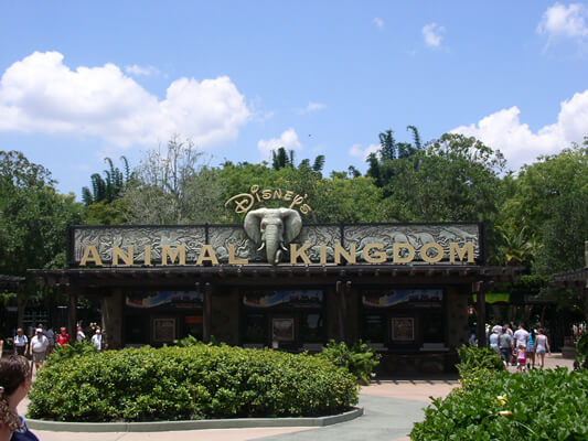 L'ingresso del Disney's Animal Kingdom, il parco a tema faunistico piu grande del mondo