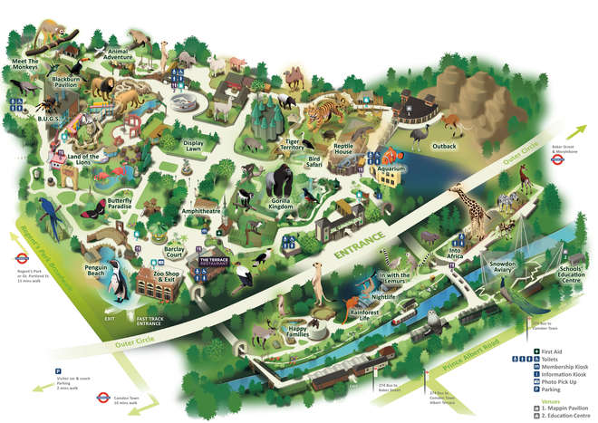 london-zoo-o-zoo-di-londra-orari-prezzi-biglietto-e-come-arrivare